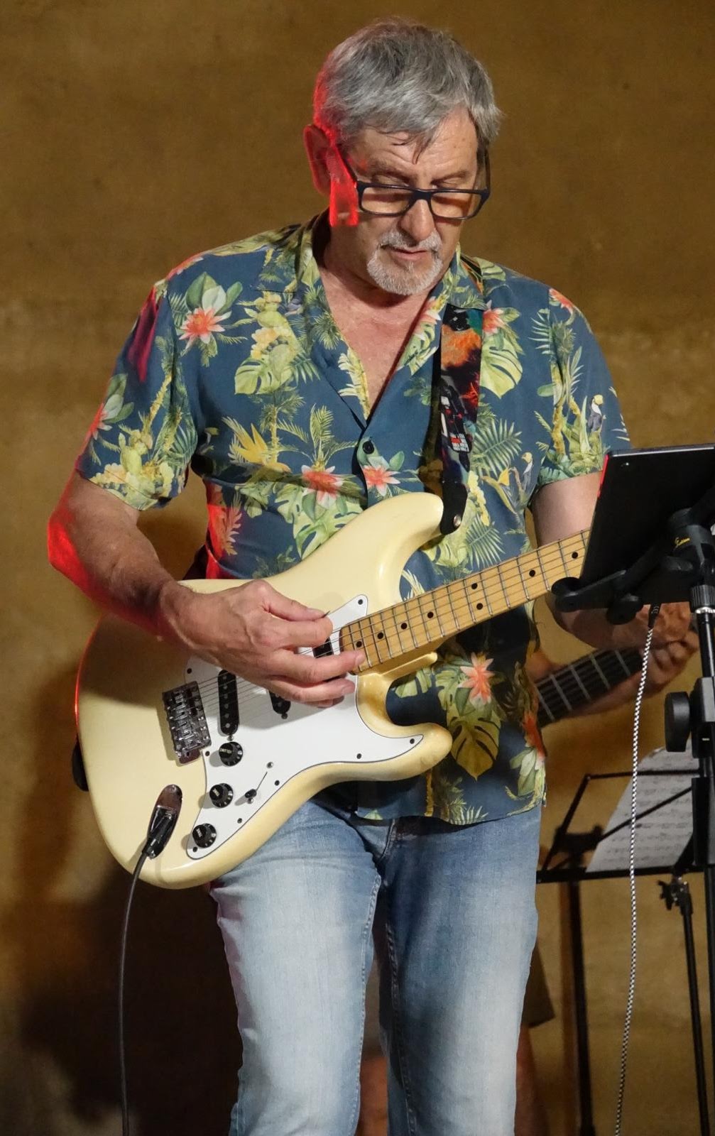 Piero - Chitarrista dei Mixer